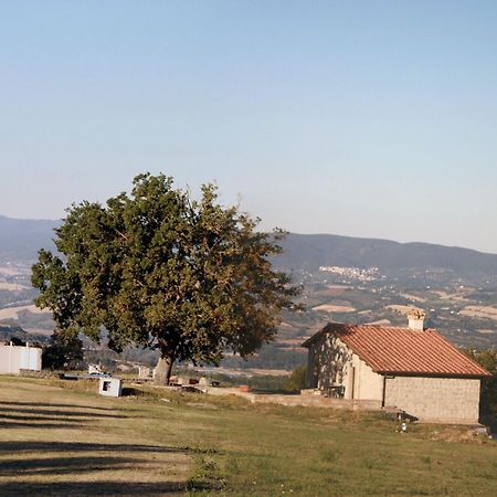 Agriturismo Le Querce Bomarzo Exteriör bild