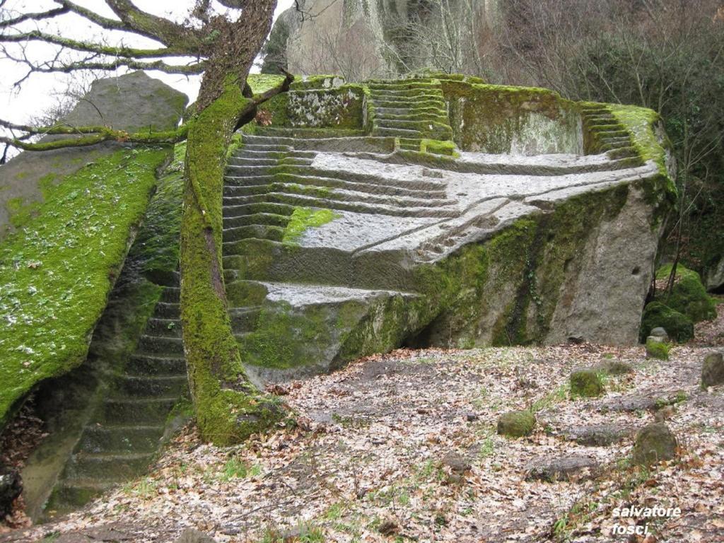 Agriturismo Le Querce Bomarzo Exteriör bild