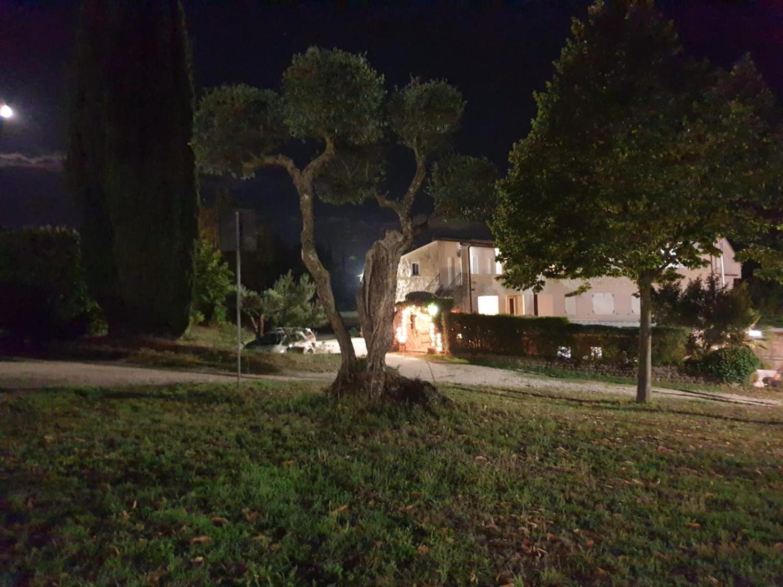 Agriturismo Le Querce Bomarzo Exteriör bild